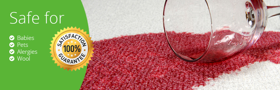 Carpet Cleaning